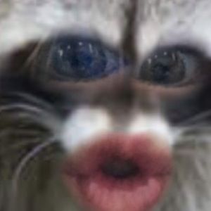 Meet your Posher, Corinne